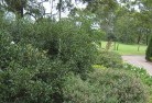 Wrights Creek NSWresidential-landscaping-35.jpg; ?>