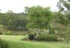 Wrights Creek NSWresidential-landscaping-40.jpg; ?>